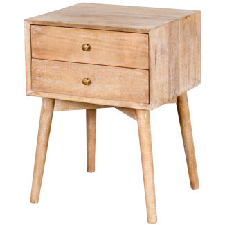 2 Drawer Nightstand by Wildon Home