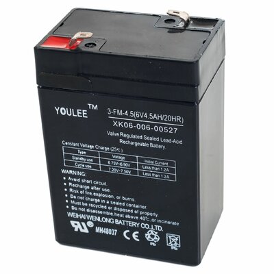 6 volt rc battery