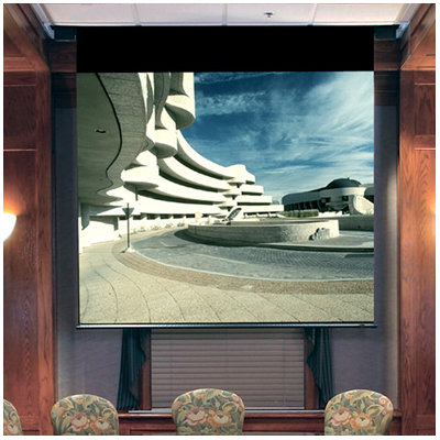 See Envoy Contrast Grey Electric Projection Screen with Quiet Motor Size / Format: 110 diagonal / 16:9 More Images