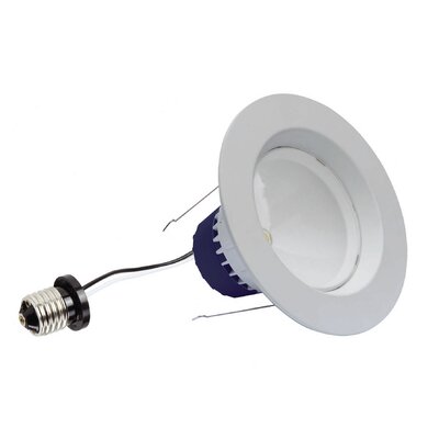 Retrofit 1 Light Recessed Light