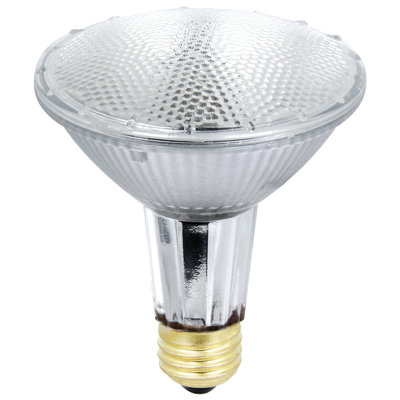 35W Halogen Light Bulb (Pack of 2)