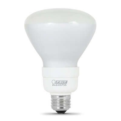 Fluorescent Light Bulb Wattage: 15