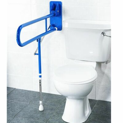 Double Support Grab Bar Color: Blue, Style: With Adjustable Leg image