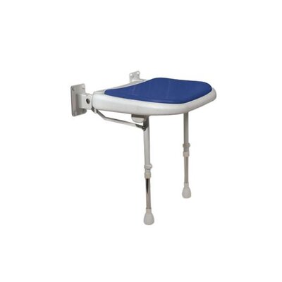 Padded Shower Chair Color: Blue image