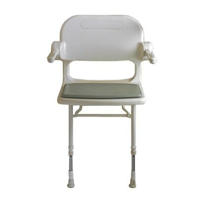 2000 Series Padded Shower Chair Color: Blue image