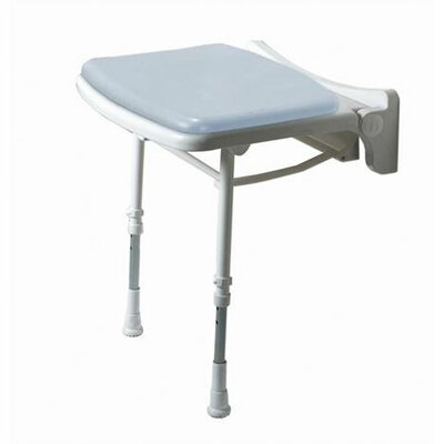 Standard Padded Shower Chair Color: Gray image