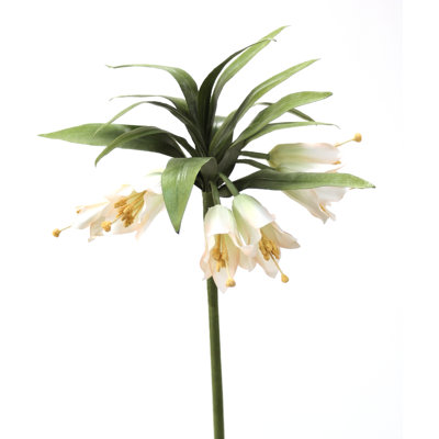 DIY Flower Crown Imperial image