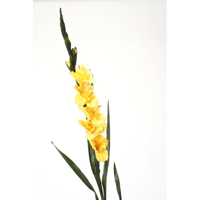 DIY Flower Gladiola image