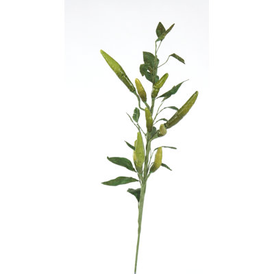 Veggies Chili Pepper Branch Tree image