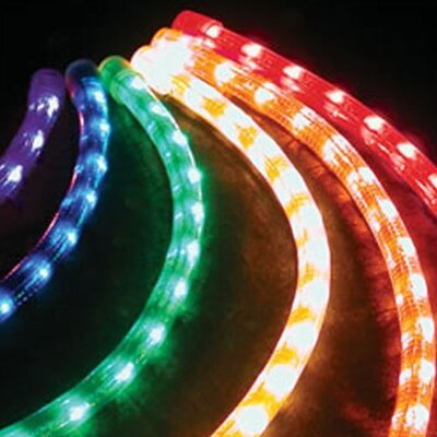 Clear Rope Light (Set of 4) Length: 10'