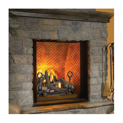 Napoleon Bgd90x The Dream Direct Vent Wall Mount Gas Fireplace