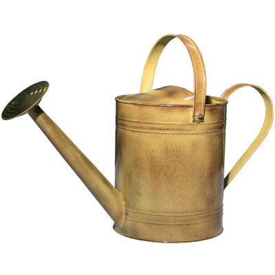 Allie Watering Can Allie Watering Can