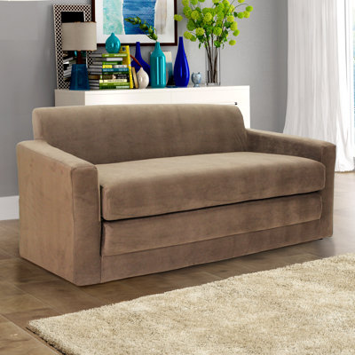 Varick Gallery VRKG5872 Pardue Sleeper Loveseat Upholstery