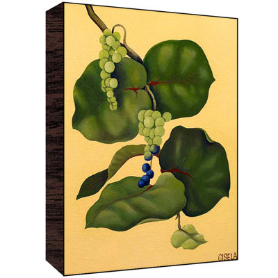 Grapes Wall Art Size: 30 H x 40 W x 1.5 D image