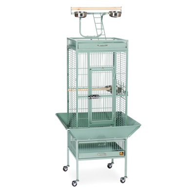 Signature Series Select Small Bird Cage Color: Sage Green