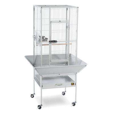 Park Plaza Bird Cage Color: Pewter