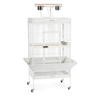 Signature Series Large Bird Cage Color: Chalk White