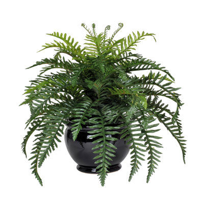 Artificial Fern Desk Top Plant in Fishbowl Decorative Vase Base Color: Black