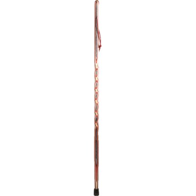 Twisted Wood Single Point Cane Color: Charcoal image