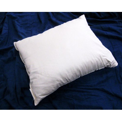 Organic Firm Cotton Pillow Size: Queen Organic Firm Cotton Pillow Size: Queen