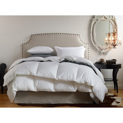 Polyester Filled Fall Weight Duvet Insert Size: Oversized King image
