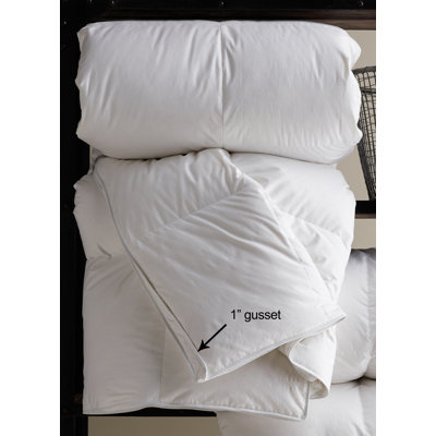 Classic Down Filled Winter Weight Duvet Insert Size: Queen image