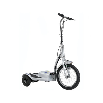 Big Toys TRX Personal Transporter 300 Watt Electric Scooter TRX-E1050
