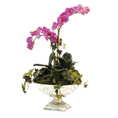 Fuschia Orchid in Urn image