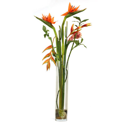 Tall Bird of Paradise in Glass Cylinder image