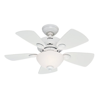 34 Watson 5 Blade Ceiling Fan Finish: Snow White with White/Bleached Oak Blades image