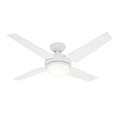50 Sonic 4 Blade Ceiling Fan Finish: White with White/Maple Blades image