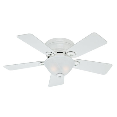 42 Conroy 5 Blade Ceiling Fan Finish: Snow White image