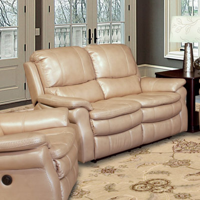 Red Barrel Studio RDBS7300 Stapleford Dual Power Reclining Loveseat Upholstery