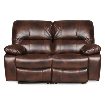 Red Barrel Studio RDBL1507 Benson Reclining Loveseat