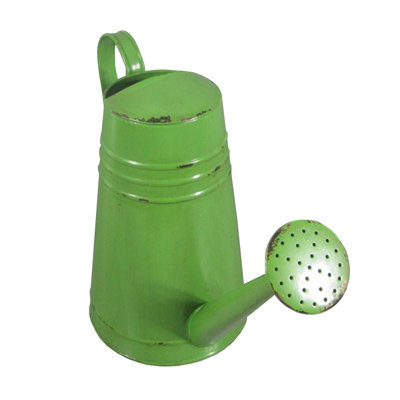 Decorative Metal Watering Can Decorative Metal Watering Can