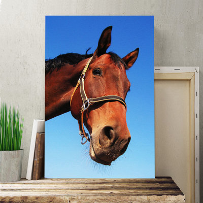 Horse Photographic Print on Canvas at Wayfair Horse Photographic Print on Canvas.