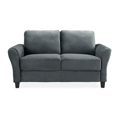 Charlton Home CHLH5863 Patricia Loveseat