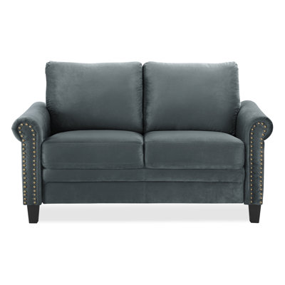 Charlton Home CHLH6419 Chisolm Loveseat