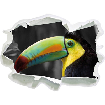 Beautiful Proud Toucan Wall Sticker at Wayfair Beautiful Proud Toucan Wall Sticker.