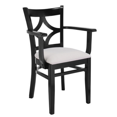 Rego Arm Chair Finish: Black