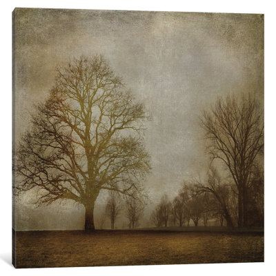 'Morning Meditation I' Graphic Art Print on Canvas 'Morning Meditation I' Graphic Art Print on Canvas
