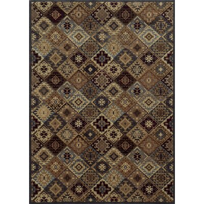 Area Rug Rug Size: 739;10quot; x 1039;10quot;
