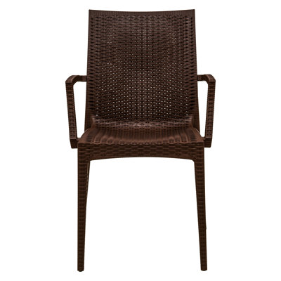 Mace Arm Chair Finish: Brown