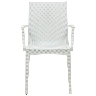 Mace Arm Chair Finish: White