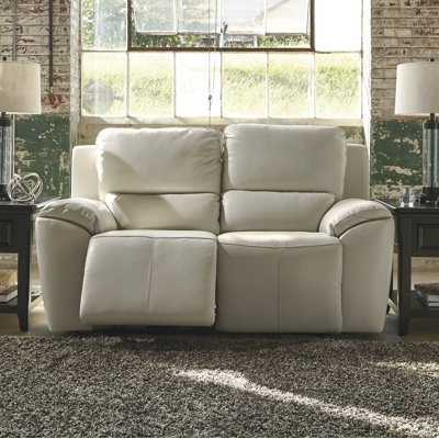 Latitude Run LATR9456 Johnston Leather Reclining Loveseat Type