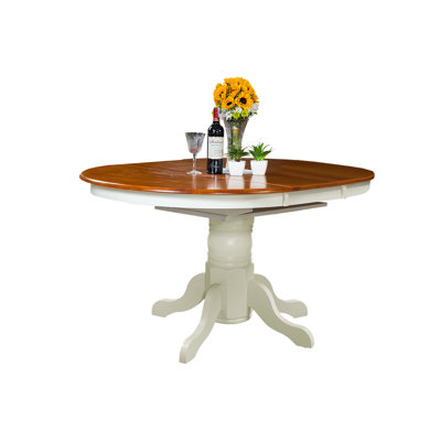 Valleyview Extendable Dining Table Finish: Oak / White