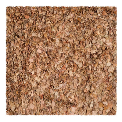 Natural Shag Rug Rug Size: 8' X 8' Square image