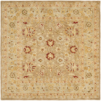 Anatolia Tan/Ivory Rug Rug Size: Square 6' image