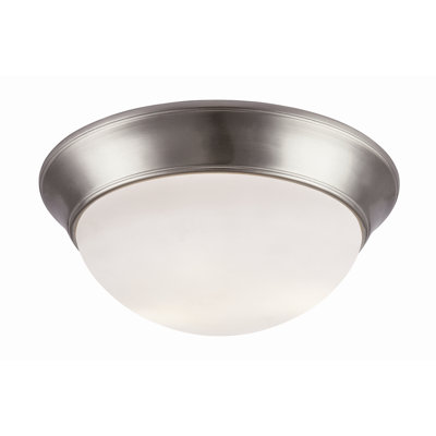 Energy Efficient Indoor 2-Light Flush Mount Energy Efficient Indoor 2-Light Flush Mount