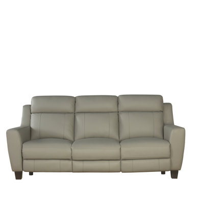 Latitude Run LRUN6060 Florham Gray Top Grain Leather Power Reclining Sofa and Recliner Set
